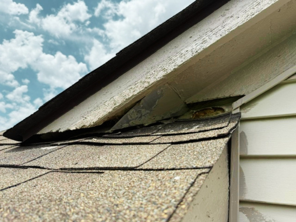 Roof Repair Needed